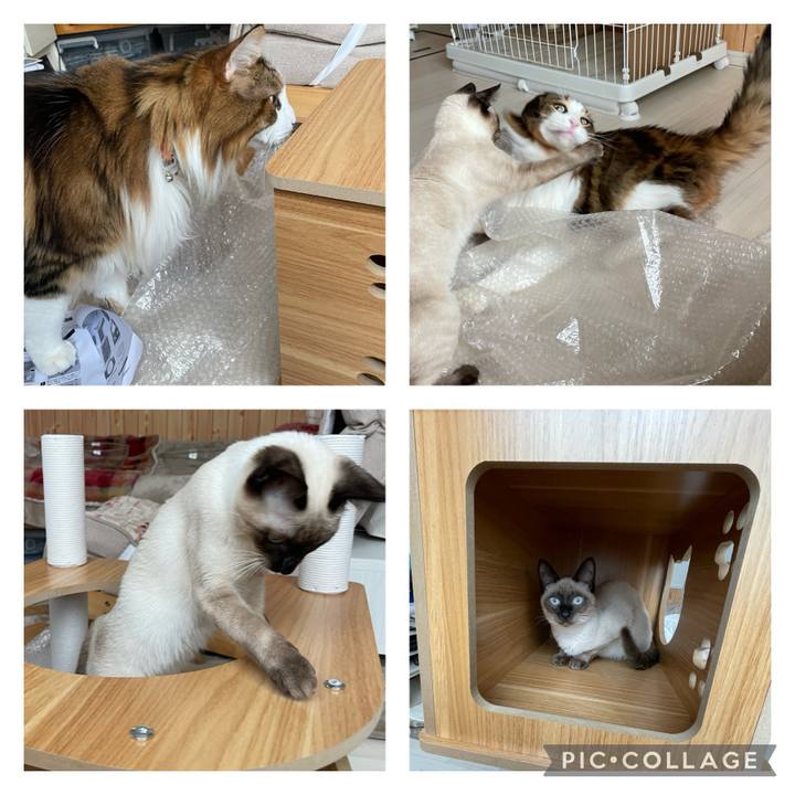 Abdb257e 2ef6 42ff b82c 5ac80748d05d 1700358294795