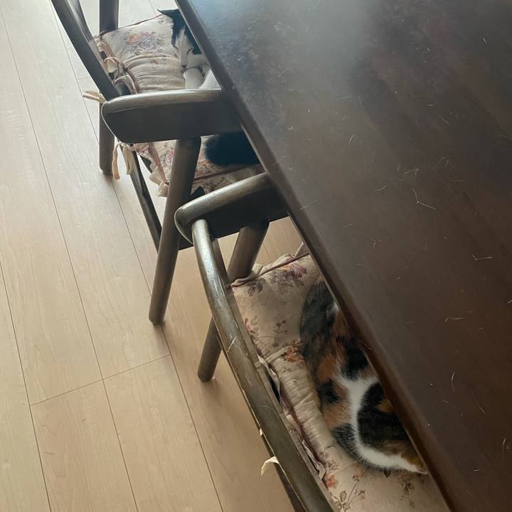 Abdb62b7 fe39 4baa 82a4 b389b29f370f 1626642403043