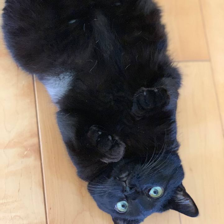 Abdb8584 8963 4065 a2fc b61913870c81 1558922094238