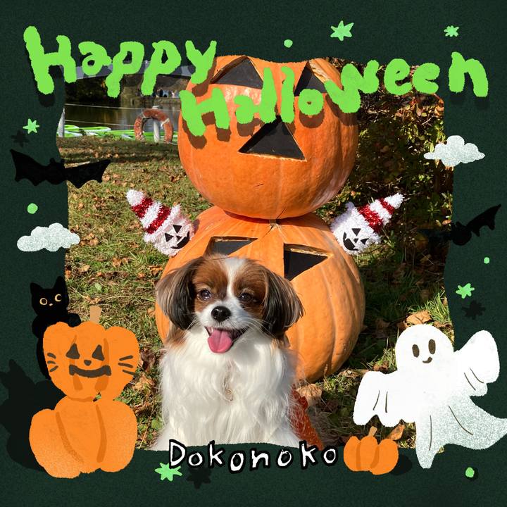 Abdb9129 d1a8 412a a29d e729c95d1499 1729918634243