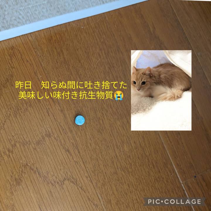 Abdc2a28 4bb3 4db7 87ae be52636e7531 1710056683727