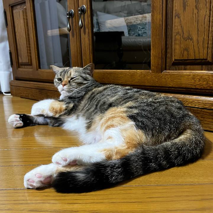 Abdc3a16 18f1 4d86 b442 6a93dcec25dd 1771334060774