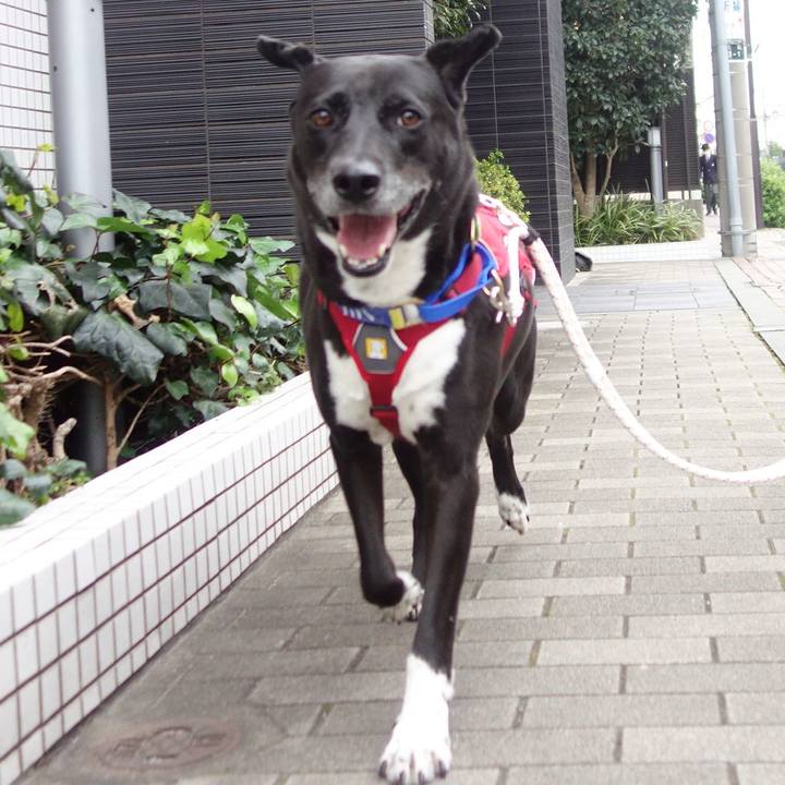 Abdc5378 6eb0 4638 aeed b93d200c95ae 1667263055493