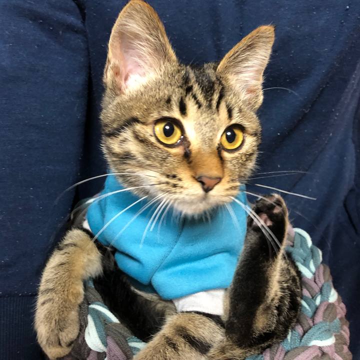 Abdc6610 297f 4bd8 ba0d 77aa008ad048 1731823678472