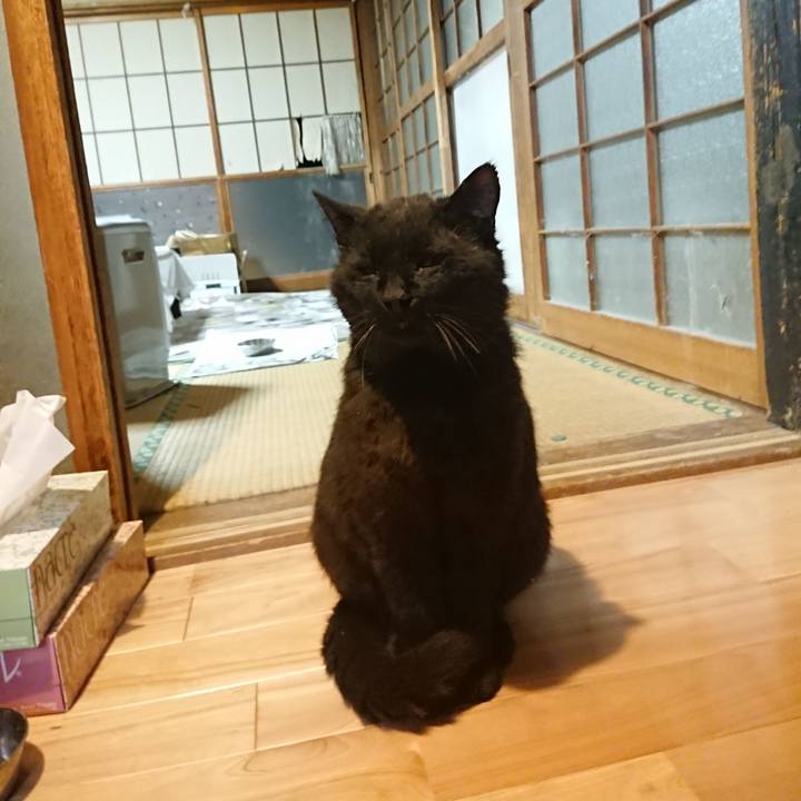 Abdca79c dd78 453c 9b7a f7548b9dffaf 1622028029134