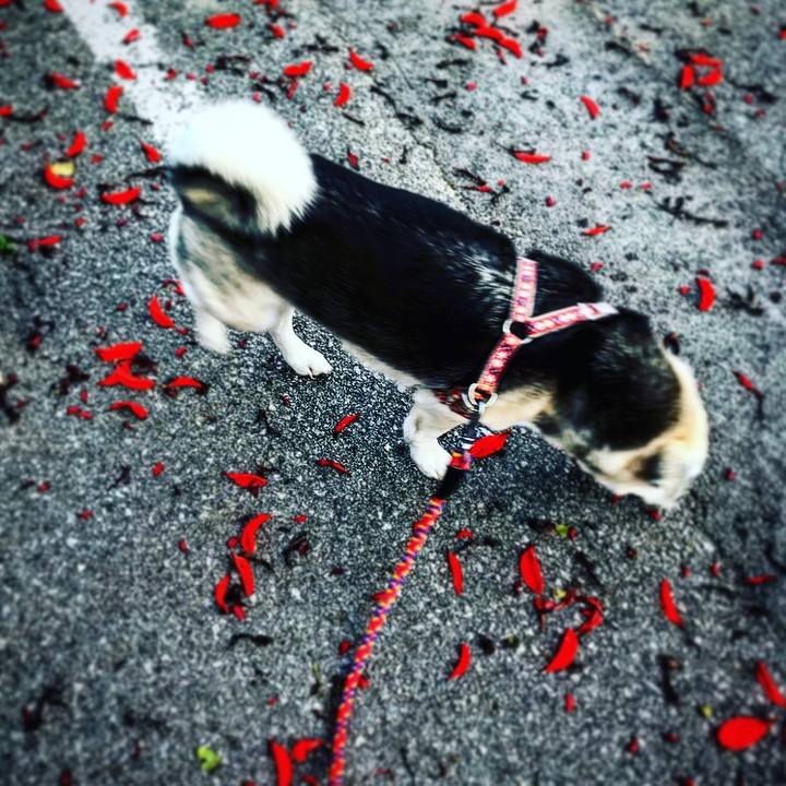 Abdcbab9 306d 4b5f a8ab 7a80564d520e 1553936689354