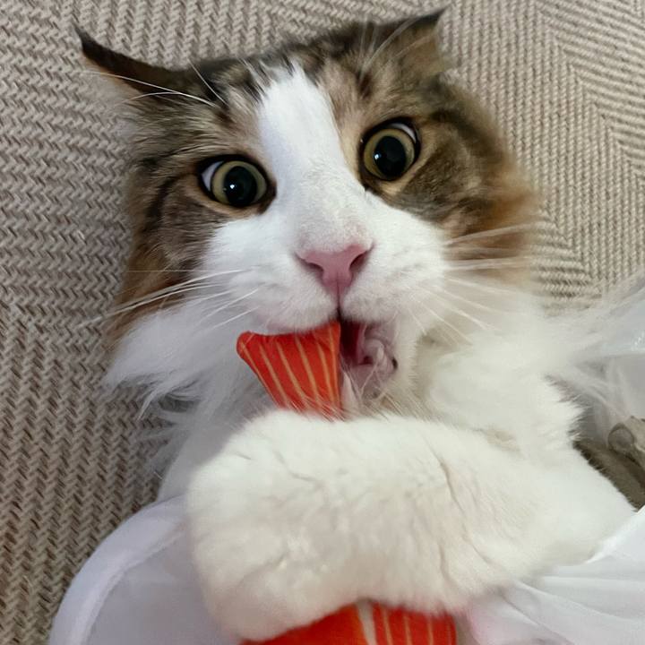 Abdce210 44ab 4d35 82c2 6584891bb884 1688764990508