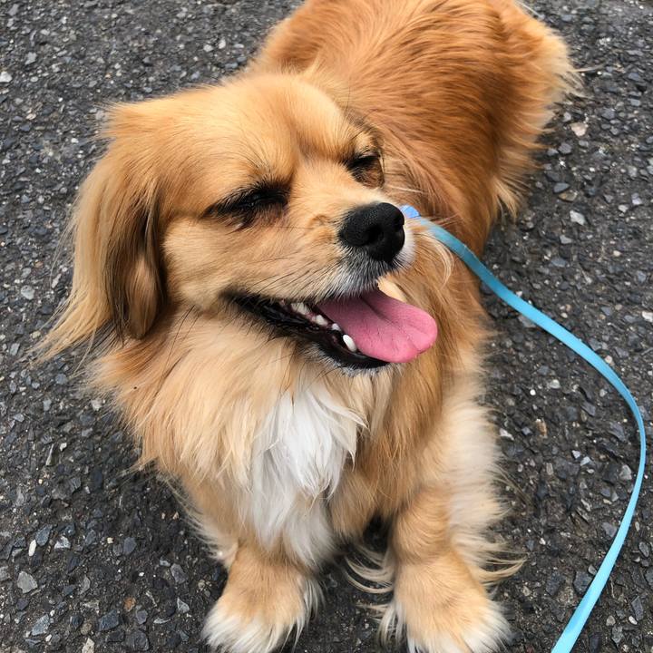 Abdce83d 2880 482e 8218 af2f06a579e5 1558828063231