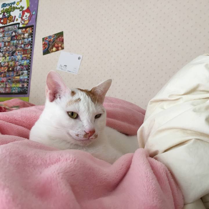 Abdd08c4 aff9 4e17 bbd4 ed4ae7d41423 1520732295417