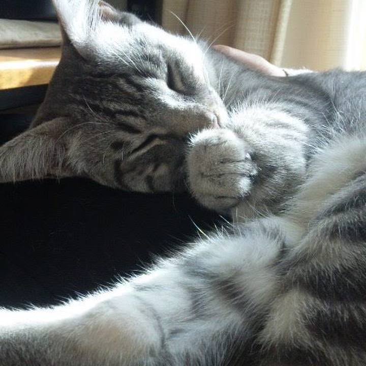 Abdd32b8 c2eb 43a8 ab09 3eed0b74e855 1628828394718