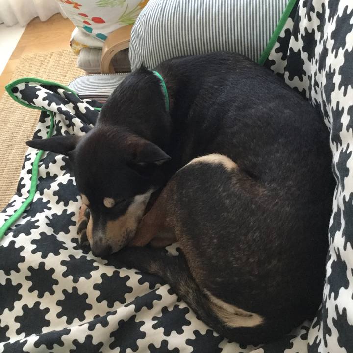 Abdd6f30 47a3 406a 82ca 077dea2bdc8b 1540790747540