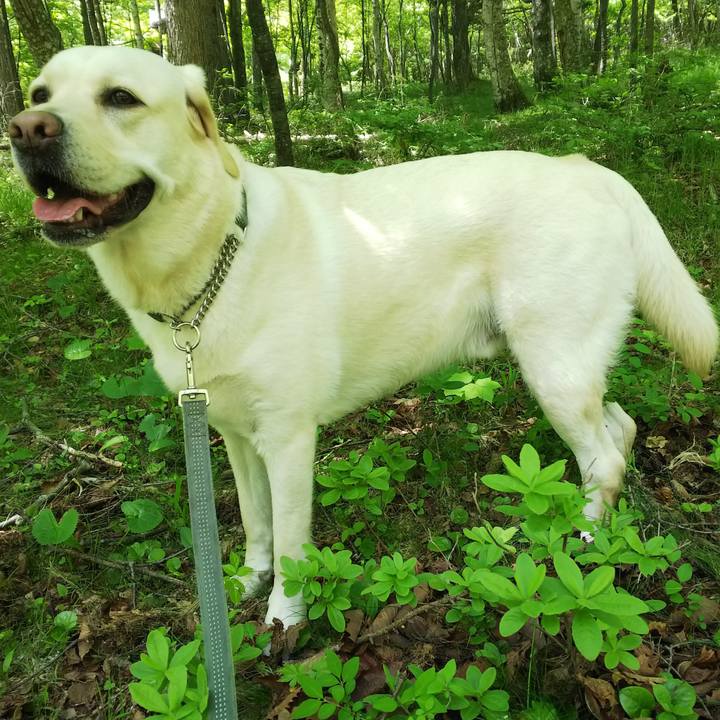 Abdd8595 4e47 4072 b620 f43dcd527291 1527993434791