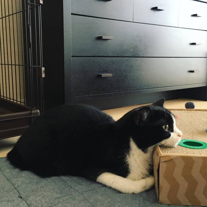 Abdd8f1f dfa9 4f5c 85b6 5fcaad1f12df 1599016661187