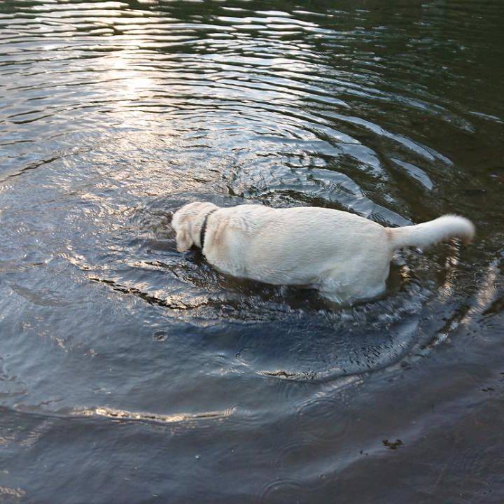 Abde2276 7bfe 4bca be37 b142b70ffe51 1588210460820