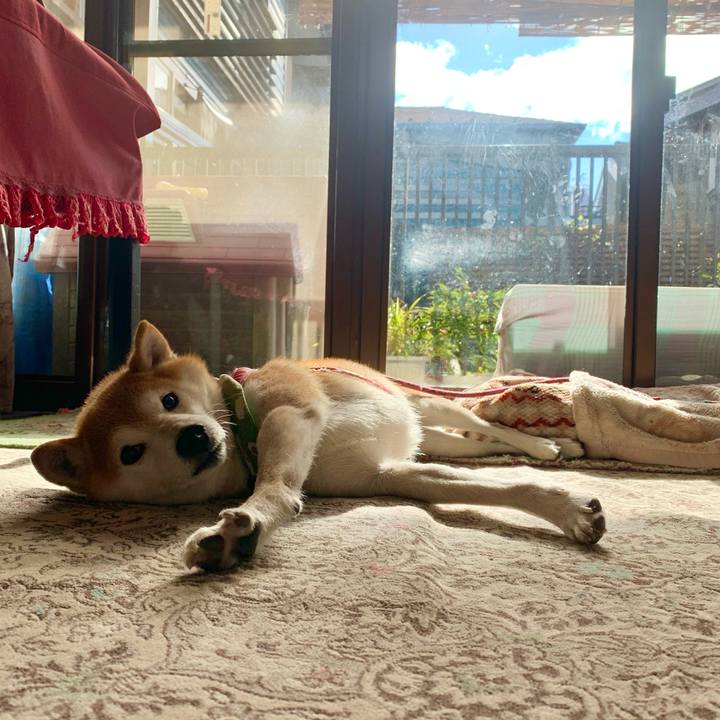 Abde2d77 475e 48d4 80f6 8bd3bb66812b 1636806189128