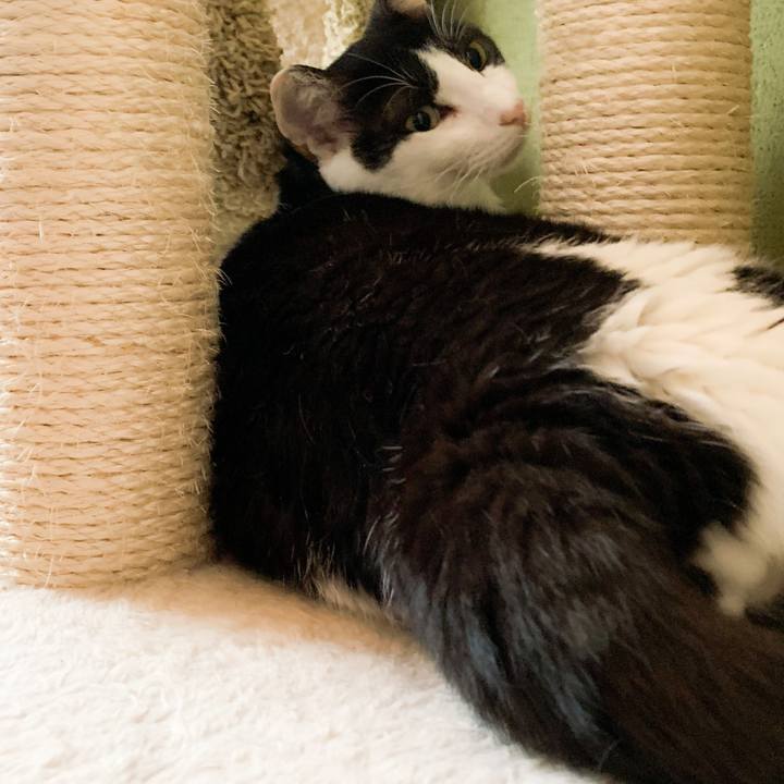 Abde5560 2da5 424d 857f 0449b30b62f2 1569205747831