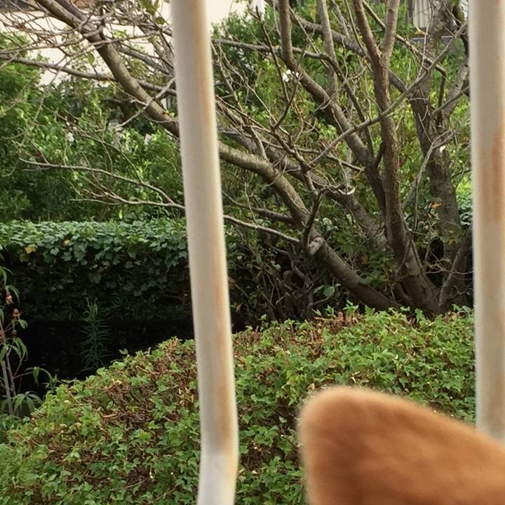 Abde6706 0510 4081 99f6 002c304b190d 1569240428462