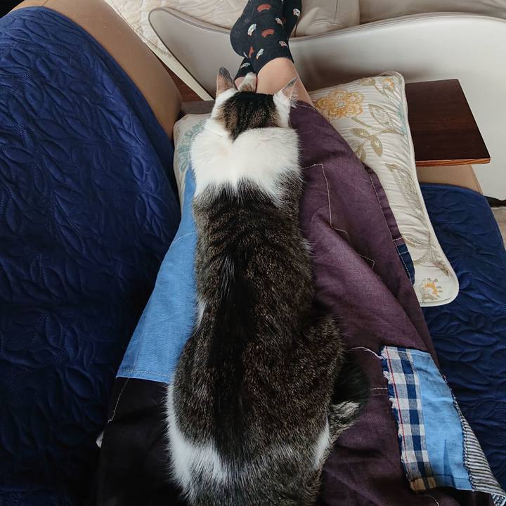 Abde6797 92a6 42c7 affc 92d773b1dca9 1646984829293