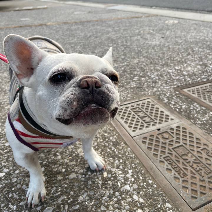 Abdecf4a d985 40f3 830b 341947e6332a 1737793922493