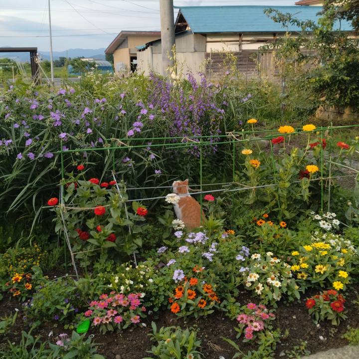 Abdf0863 8f2f 490f bf59 5f61b2ad4317 1751059473676