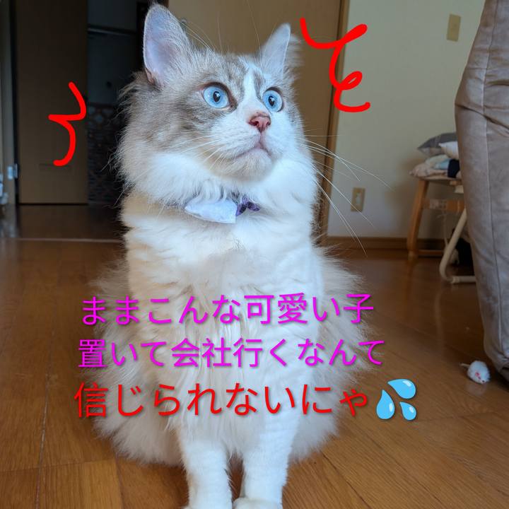Abdf5a61 87a1 41e8 b91a 9e40870ea738 1789416454011