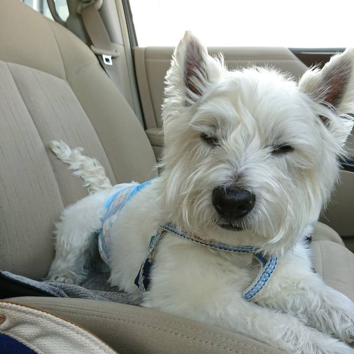 Abdfc17d 1828 4f44 94a3 07cf65901ae0 1523978554070