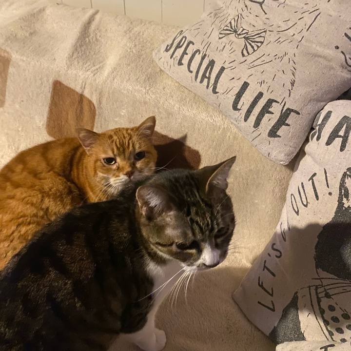 Abdfeff0 cf08 476c 9d43 d58a09591c97 1678134970863