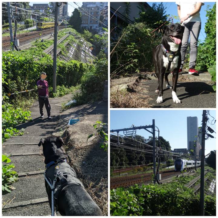 Abe04944 67e4 45bd afd7 01ec95c1aacf 1664326435946