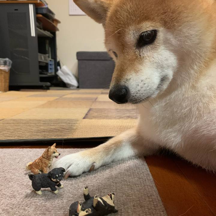 Abe0685d 4096 4b2e 9d02 36064d74dd78 1598357882508