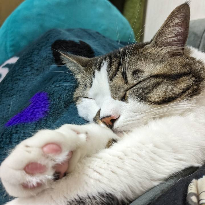 Abe094e8 44a3 4c59 a0de 966d707b08c4 1702882602124