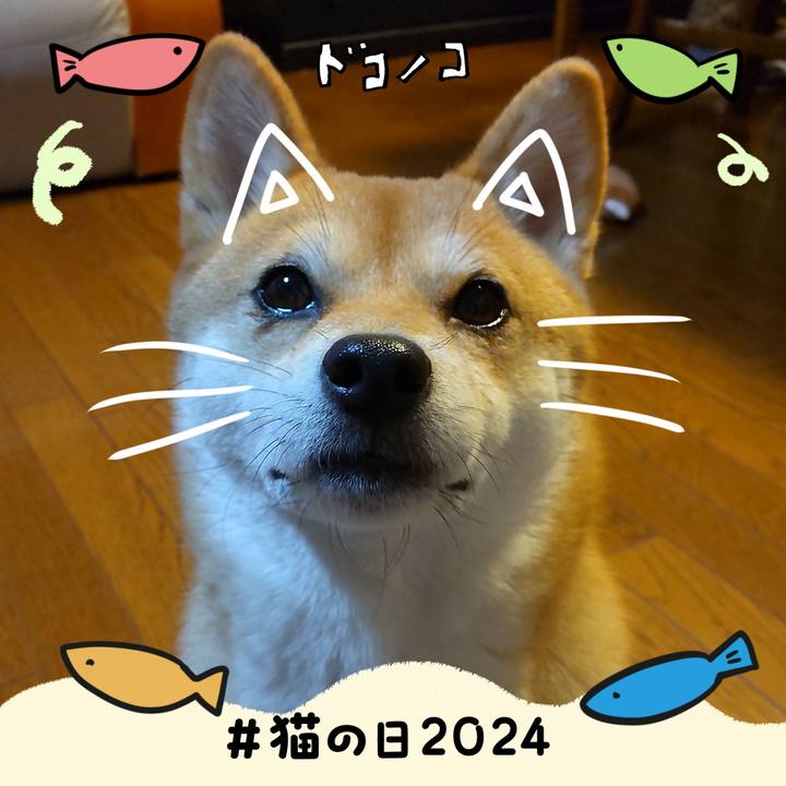 Abe0b4c9 f0bf 4557 9f47 f9404c71539b 1708564689945