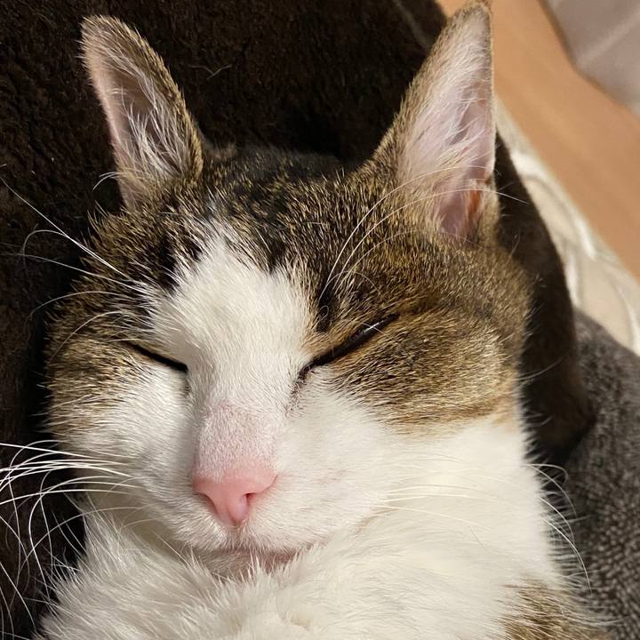 Abe10c54 bc00 420b 9f93 1d4616fd4766 1585312356326