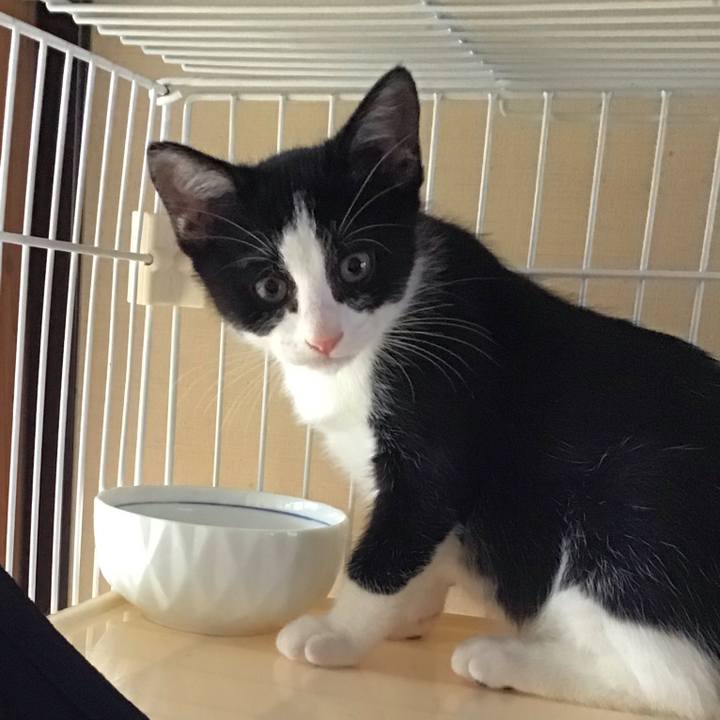 Abe1125c c0da 498f ab32 5ae5d4d6756b 1625725862374