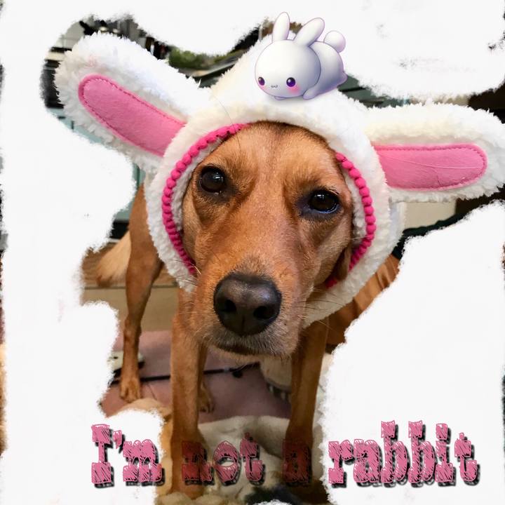 Abe17d2a c6b0 4ad9 afa8 5931374b0d78 1512185160243