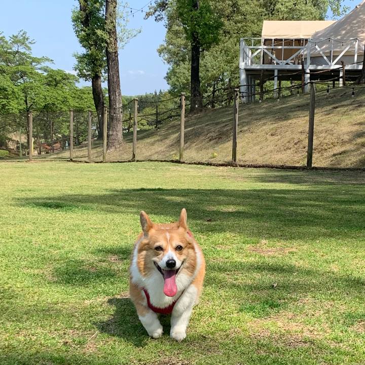 Abe18129 ff8a 40a9 9e71 c69c958c04e4 1681966874442