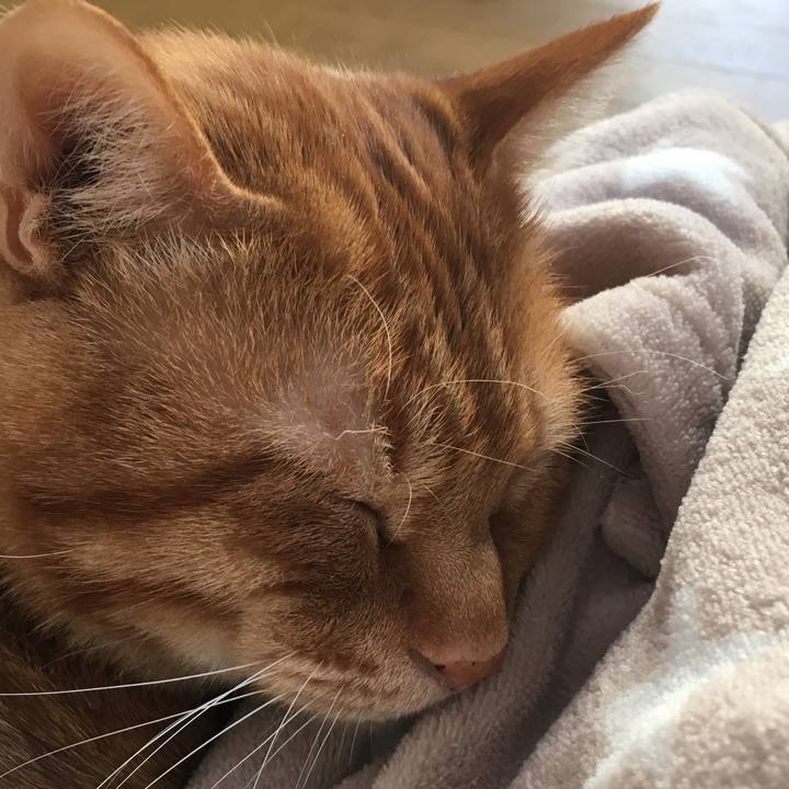 Abe18bd2 88ee 421c bc1f bf5a3dec3f1b 1544314394570