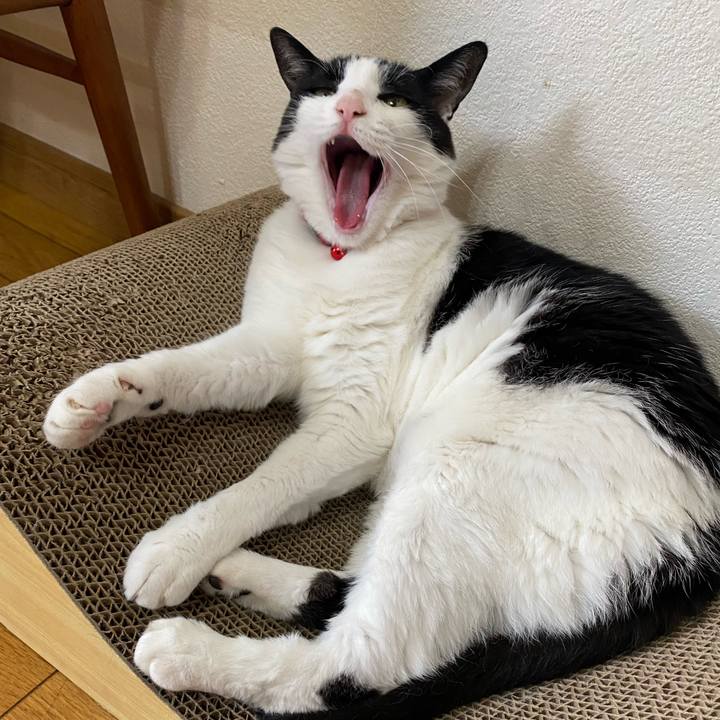 Abe1a04c 67fa 45c5 bfe2 8ec3ae07b2da 1661990720914