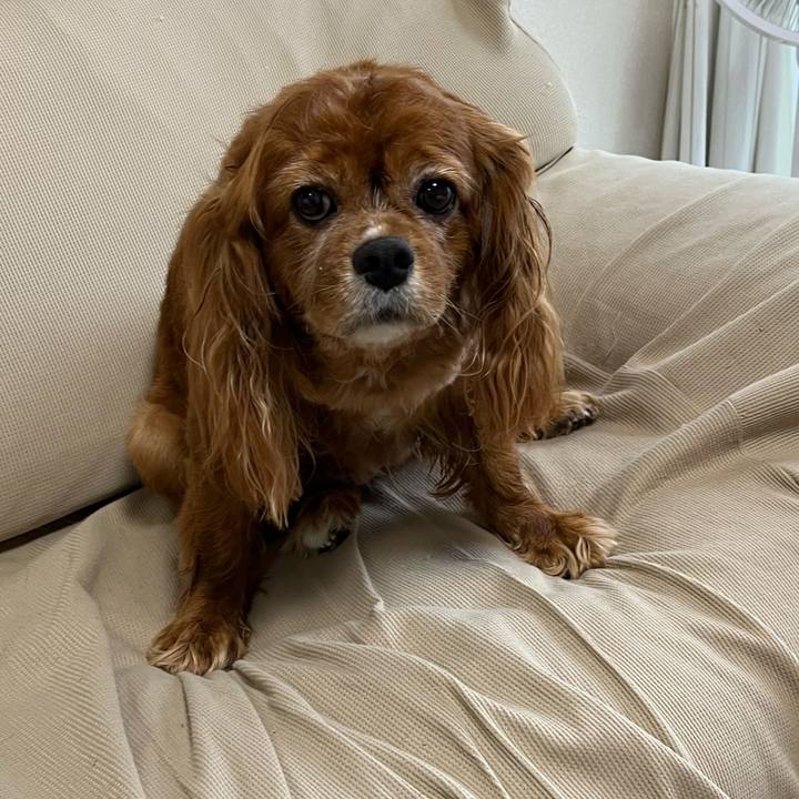 Abe1a09c 0717 44f2 bd3d 21588101b380 1688174868393