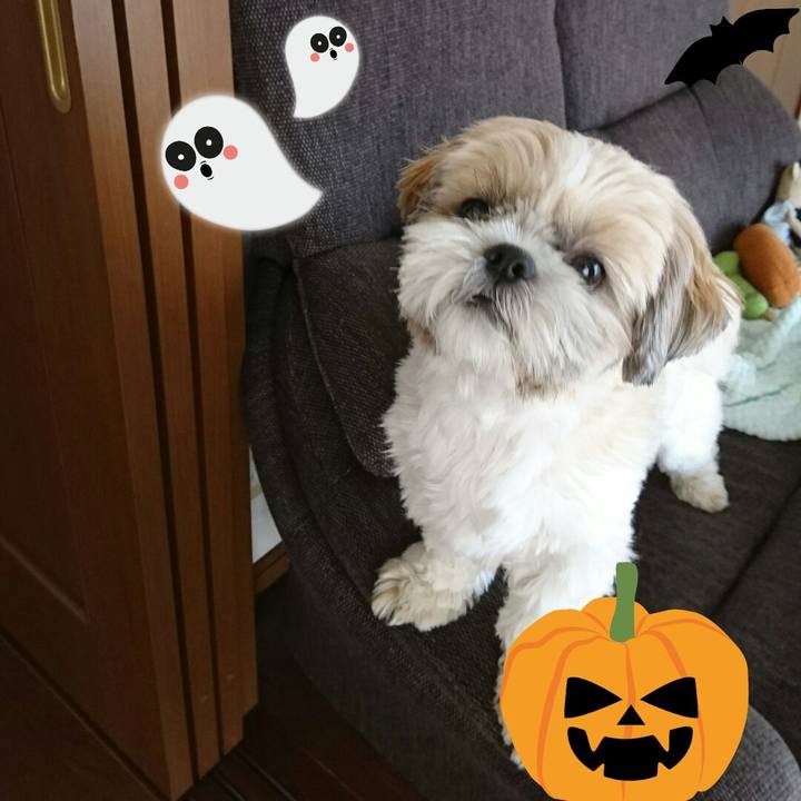 Abe1ba39 0682 41be ba9c 8e89e9732af7 1540984573124