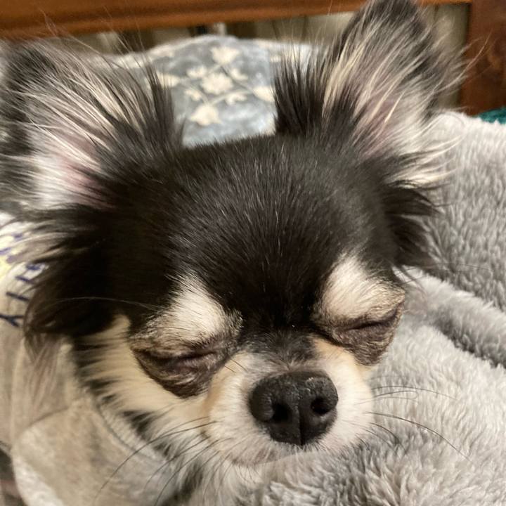 Abe1e0f5 aafc 417b a899 ff775da76ac9 1639317298572