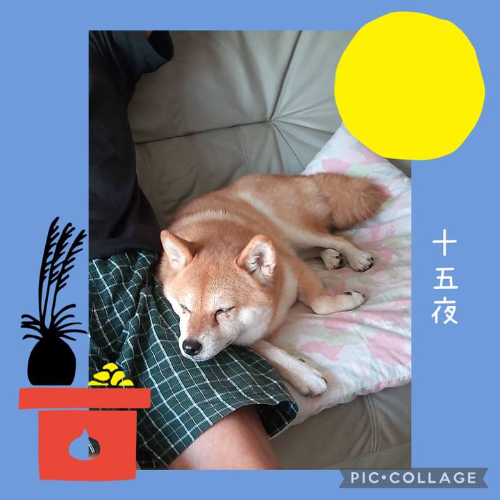 Abe23d3a a667 4c98 8812 a07802e1cc39 1726529304275