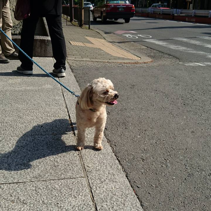 Abe26633 c3c4 4186 bb8f 2b6946d97c11 1525519658591