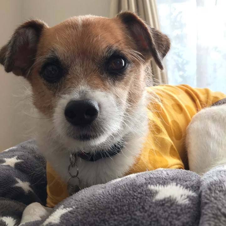 Abe28676 c6e8 43e1 8f41 b4f17e044f55 1541025773496