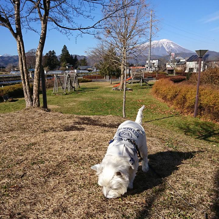 Abe29376 e529 45f2 9fc1 fbf429d0d480 1543741527619