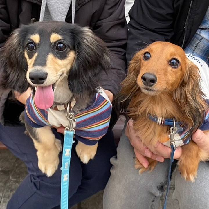 Abe2d194 2d57 4606 97ca 81feb8cedaa3 1676847554942