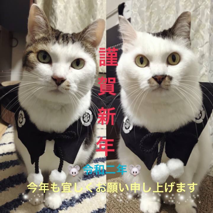 Abe2dfd8 db5a 4492 afc4 6d63750954c4 1577834569454