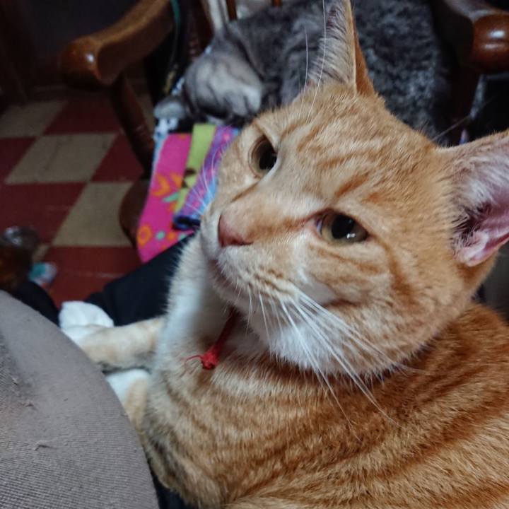 Abe2fdb2 0991 44df ab35 c49a33b7110a 1574553724980