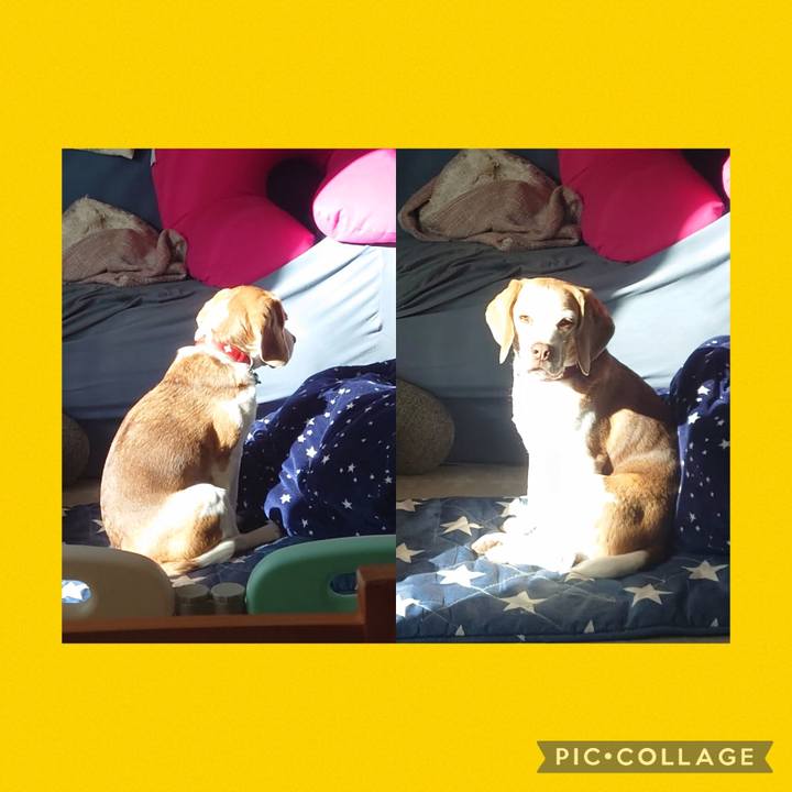 Abe31df8 8703 4c0f 9657 ceda61a8724d 1770337755981