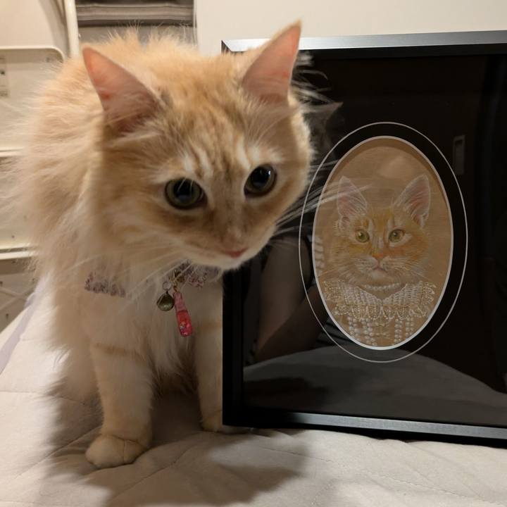 Abe3388f 09d7 403a ab10 fdd832cba70d 1754137719159