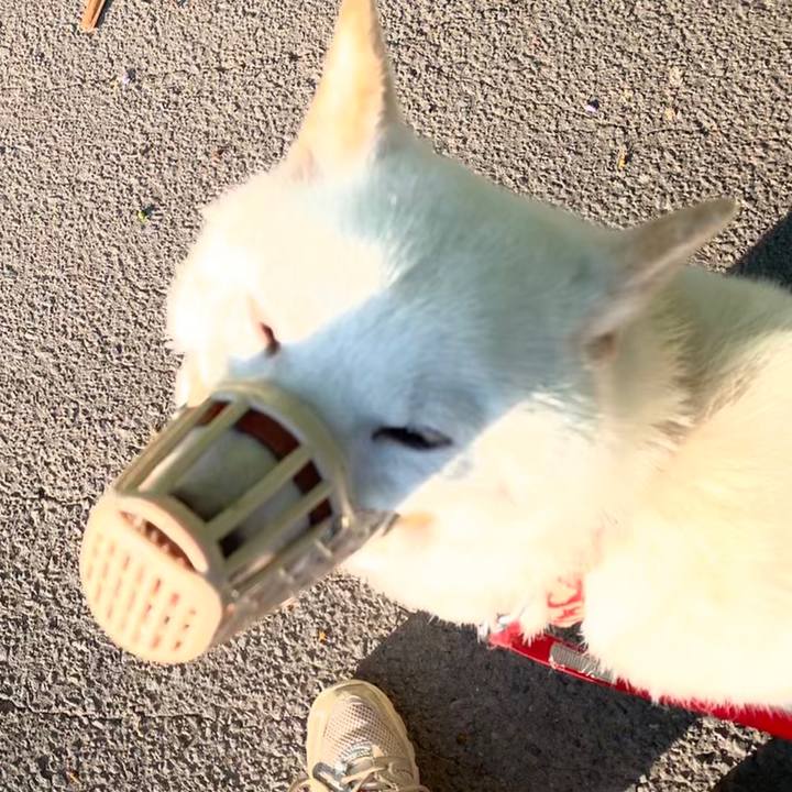 Abe34b9b 3ebd 4e71 ab96 4fb140542edb 1560469218282